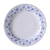 Speiseteller<Arzberg Speiseteller 25cm Fahne Form 1382 Blaublüten