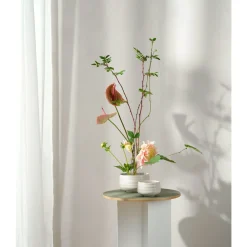 Schalen<ASA Schale 12 cm Moribana Hasu