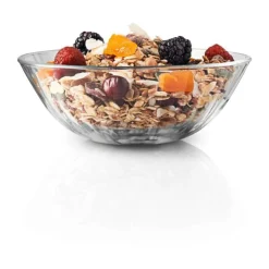 Eva Solo Glasschale 50cl 4er Set