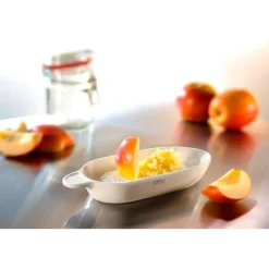 Gefu Ingwer- und Obstreibe Fruttare