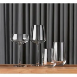 Rotweingläser<Iittala 2er-Set Rotweinglas 0,45 l Essence