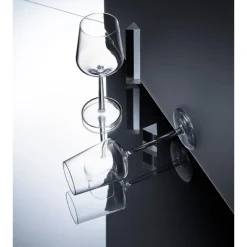 Rotweingläser<Iittala 2er-Set Rotweinglas 0,45 l Essence