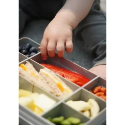 Melii Snackle Box 1,37 l grau