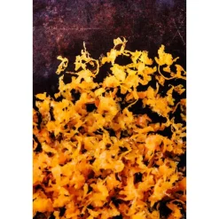 Messer & Co. Entdecken<Microplane Reibe fein 31 cm Gourmet schwarz