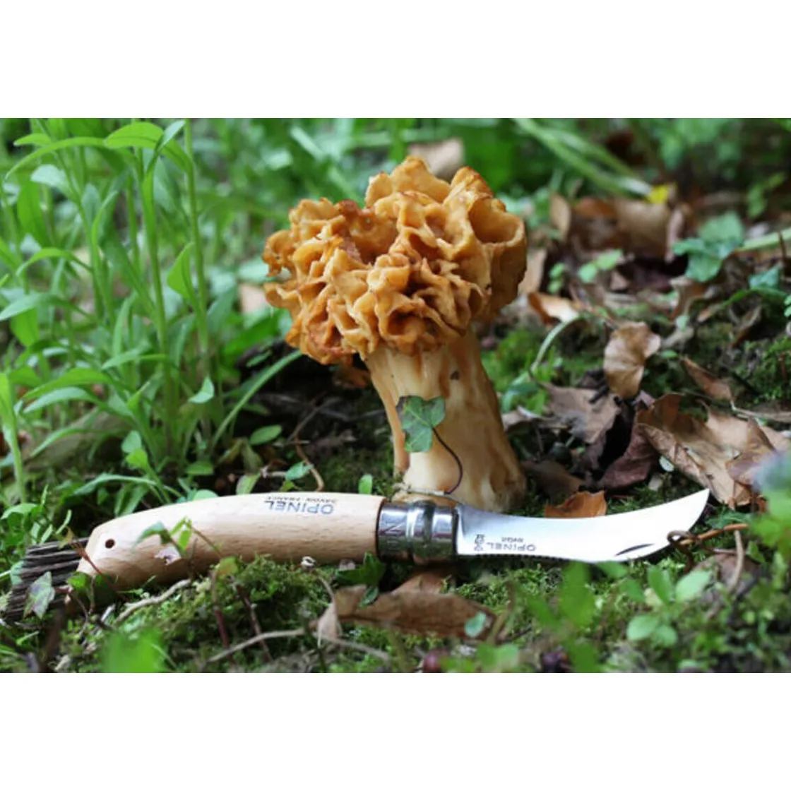 Opinel Pilzmesser N°08 8 cm Buche