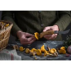 Opinel Pilzmesser N°08 8 cm Buche