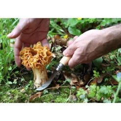 Messer & Co. Entdecken<Opinel Pilzmesser N°08 8 cm Buche