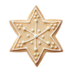 Backzubehör|Weihnachtsbäckerei<RBV Birkmann Plätzchen-Ausstechform Stern 3-tlg. Terrasse edelstahl