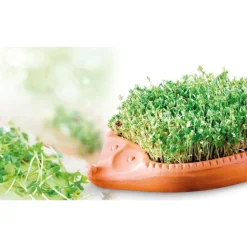 Kräuter & Gewürze|Messer & Co. Entdecken<Römertopf Kresse-Igel