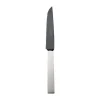 Robbe & Berking Steakmesser Frozen Black Riva 925 Sterlingsilber