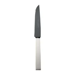 Robbe & Berking Steakmesser Frozen Black Riva 925 Sterlingsilber