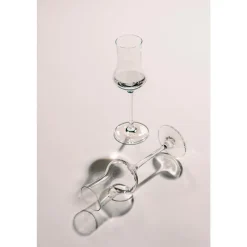 Schott Zwiesel Grappaglas 6er-Set Bar Special klar