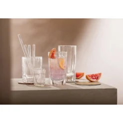 Schnapsgläser<Schott Zwiesel Schnapsglas 4er-Set Fave klar