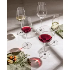 Schott Zwiesel Wasserglas/Rotweinglas 4er-Set Fortissimo klar