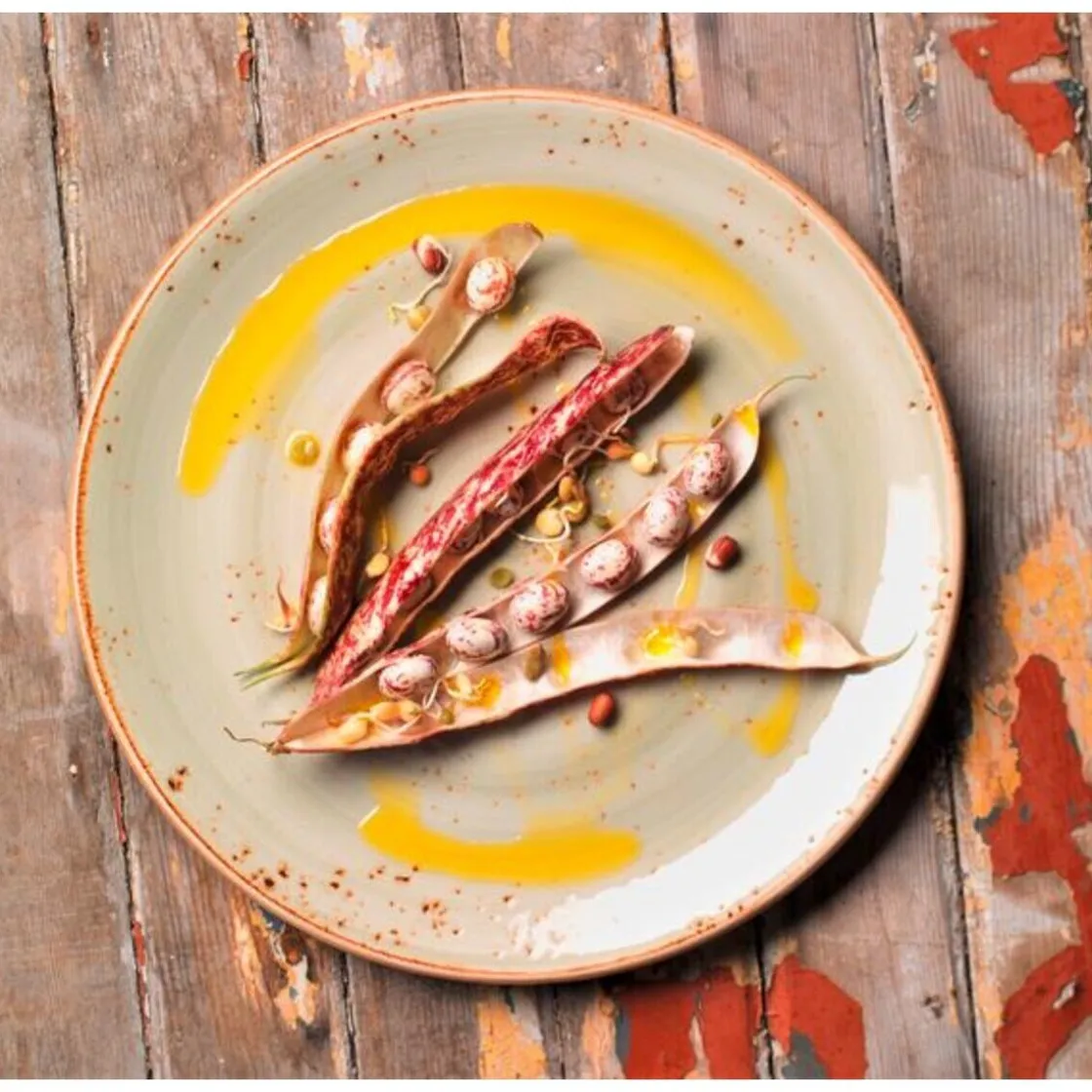 Steelite Teller tief 25,5 cm Coupe 1131 Craft Green