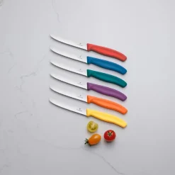 Messer & Co. Entdecken<Victorinox Tomaten- und Tafelmesser 11 cm Swiss Classic grün