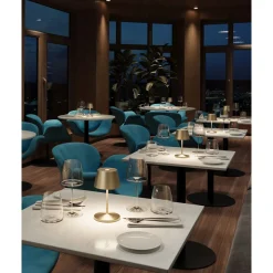 Villeroy & Boch Akku-Tischleuchte 20 cm 2,2 W Seoul RC gold gebürstet