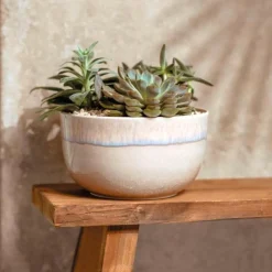 Schüsseln|Weihnachten<Villeroy & Boch Schüssel 3,0 l Perlemor Sand