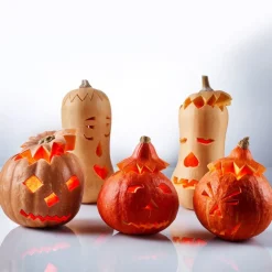 Einmachen & Fermentieren<Westmark Kürbis-Schnitz-Set 4-tlg. schwarz