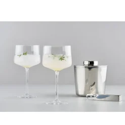 Zone Denmark Copa/Gin Tonic Glas 2er-Set Rocks klar
