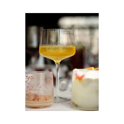 Zone Denmark Copa/Gin Tonic Glas 2er-Set Rocks klar