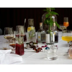 Zone Denmark Copa/Gin Tonic Glas 2er-Set Rocks klar