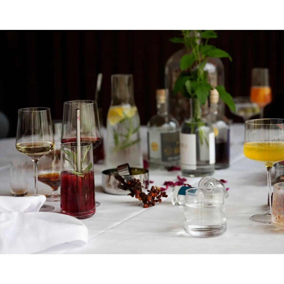 Zone Denmark Copa/Gin Tonic Glas 2er-Set Rocks klar