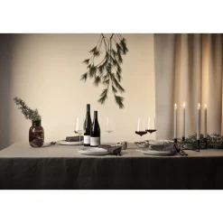 Zwiesel Glas Allroundglas 2er-Set Dreissigacker mit Moussierpunkt