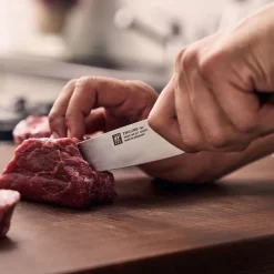 Zwilling Fleischmesser 15cm Pro Wood